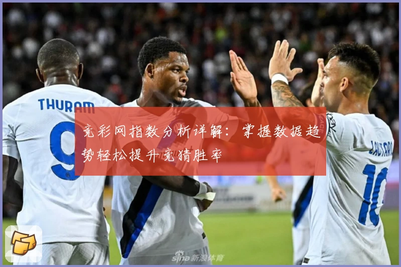 竞彩网指数分析详解：掌握数据趋势轻松提升竞猜胜率