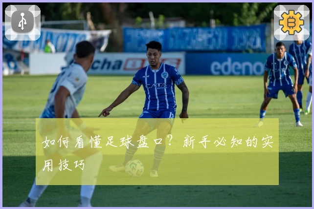 如何看懂足球盘口？新手必知的实用技巧