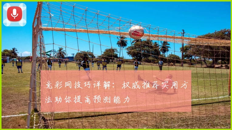 竞彩网技巧详解：权威推荐实用方法助你提高预测能力