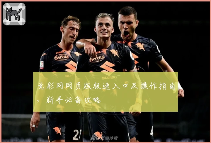 竞彩网网页版极速入口及操作指南，新手必备攻略